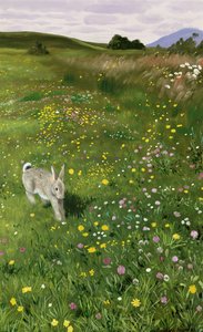 Hare i forårsblomster