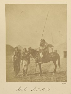 Arabere. L.T.C. af Dr. William Robertson