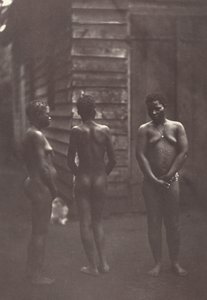 Tre madagaskiske kvinder tavle 30, 1863.