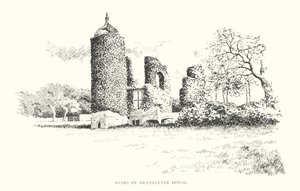 Ruinerne af Brambletye House (litografi) af Duncan Moul
