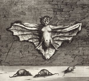 En flagermus kendt som en flyvende kat, fra Kina Illustreret af Athanasius Kircher (1601-80) 1667 af Dutch School