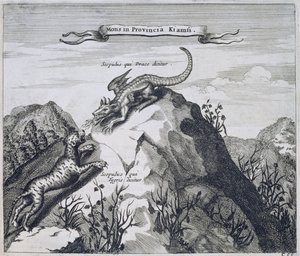 Et bjerg i Jiangxi-provinsen med kløfter kendt som dragen og tigeren, fra Kina Illustreret af Athanasius Kircher (1601-80) 1667 af Dutch School