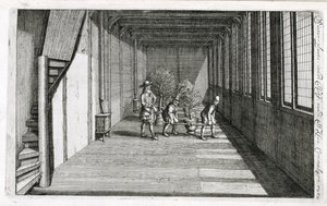 At flytte træer ind i haven til sommer, fra De Nederlandse Hesperides af Jan Commelin, udgivet 1676 af Dutch School