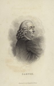 Peter Camper af Dutch School