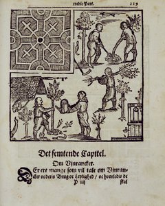 Plantning af træer, fra The Dutch Gardener af Johann van der Groen, udgivet 1699 af Dutch School