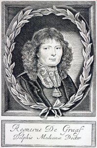 Regnier de Graaf, ca. 1670 af Dutch School