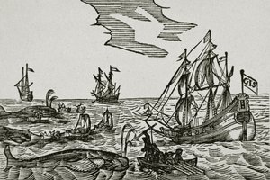 Hvalfangstskibe, fra Jacob Segersz van der Brugges 