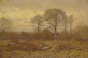 november, 1904-1905.