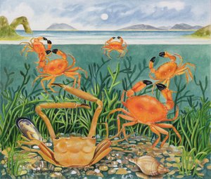 Crabs in the Ocean, 1997 (akryl på papir)