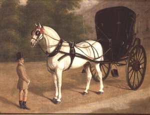 En grå hest og cabriolet med brudgom af E.M. Fox