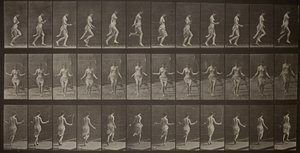 Dyrebevægelser, tavle 174, 1887. af Eadweard Muybridge