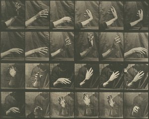 Dyrebevægelser, tavle 535, 1887. af Eadweard Muybridge