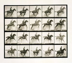 Mand og hest hopper over et hegn, 1887 af Eadweard Muybridge