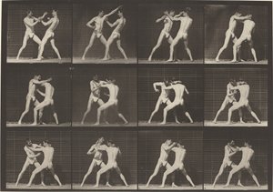 Tallerken nummer 340. Boksning, åbne håndsko, 1887. af Eadweard Muybridge
