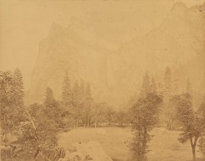 Pohona. Yosemite-dalen.
