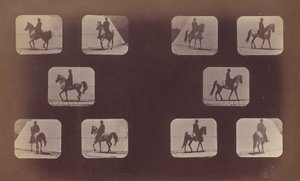 Studier af Forkortelser. Heste. Gåture. Mahomet. nr. 119-120, 1879. af Eadweard Muybridge