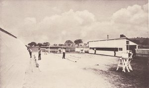 Hesten i bevægelse som vist ved øjeblikkelig fotografering. Med en undersøgelse af dyr..., 1881-1882. af Eadweard Muybridge
