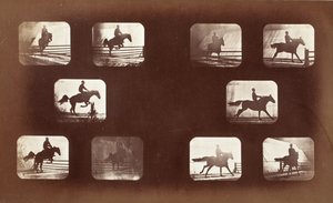 Dyrs bevægelse (mand på hest over forhindringer) af Eadweard Muybridge