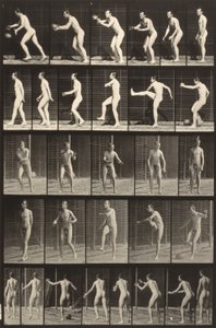 Dyrs bevægelser (plade 300) (Mand sparker til en bold) af Eadweard Muybridge