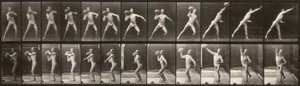 Dyrs bevægelser (planche 319) (Mand kaster en bold) af Eadweard Muybridge