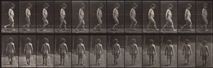 Animal Locomotion, plade 467 af Eadweard Muybridge