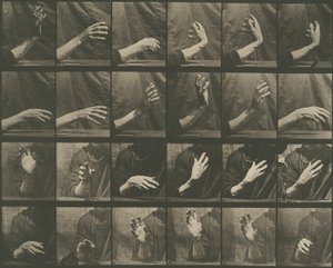 Dyrs bevægelse, plade 535 af Eadweard Muybridge