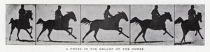 Eadweard Muybridge: En fase i hestens galop (s/h foto) af Eadweard Muybridge