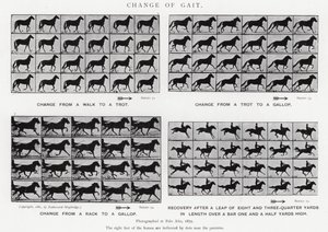 Eadweard Muybridge: Change of Gait (s/h-billede) af Eadweard Muybridge