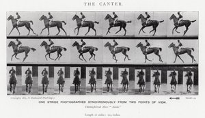 Eadweard Muybridge: The Canter (s/h foto) af Eadweard Muybridge