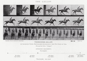 Eadweard Muybridge: The Gallop (s/h foto) af Eadweard Muybridge
