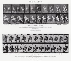 Eadweard Muybridge: The Gallop (s/h foto) af Eadweard Muybridge