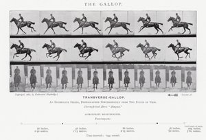 Eadweard Muybridge: The Gallop (s/h foto) af Eadweard Muybridge