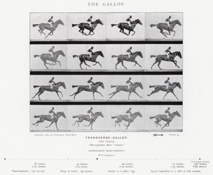 Eadweard Muybridge: The Gallop (s/h foto) af Eadweard Muybridge