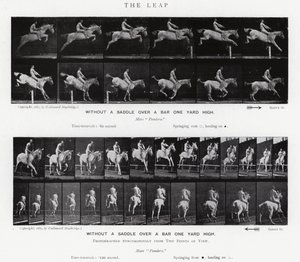 Eadweard Muybridge: The Leap (s/h foto) af Eadweard Muybridge