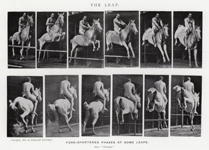 Eadweard Muybridge: The Leap (s/h foto) af Eadweard Muybridge