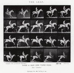 Eadweard Muybridge: The Leap (s/h foto) af Eadweard Muybridge