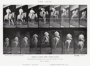 Eadweard Muybridge: The Leap (s/h foto) af Eadweard Muybridge