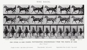 Eadweard Muybridge: The Rack (s/h foto) af Eadweard Muybridge
