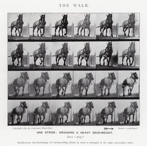 Eadweard Muybridge: The Walk (s/h foto) af Eadweard Muybridge