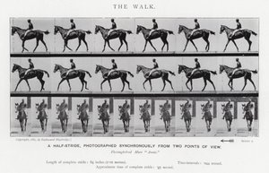 Eadweard Muybridge: The Walk (s/h foto) af Eadweard Muybridge