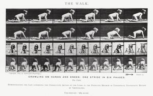 Eadweard Muybridge: The Walk (s/h foto) af Eadweard Muybridge