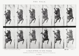Eadweard Muybridge: The Walk (s/h foto) af Eadweard Muybridge