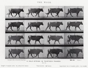 Eadweard Muybridge: The Walk (s/h foto) af Eadweard Muybridge