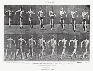 Eadweard Muybridge: The Walk (s/h foto) af Eadweard Muybridge