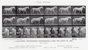 Eadweard Muybridge: The Walk (s/h foto) af Eadweard Muybridge