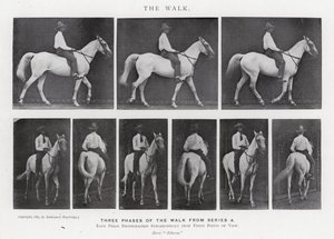 Eadweard Muybridge: The Walk (s/h foto) af Eadweard Muybridge