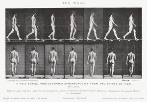 Eadweard Muybridge: The Walk (s/h foto) af Eadweard Muybridge