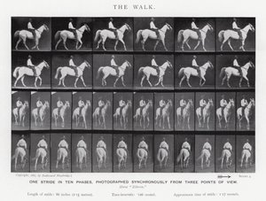 Eadweard Muybridge: The Walk (s/h foto) af Eadweard Muybridge