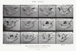 Eadweard Muybridge: The Walk (s/h foto) af Eadweard Muybridge