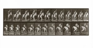 Galoperende hest med rytter, plade 635 fra Animal Locomotion, 1887 af Eadweard Muybridge